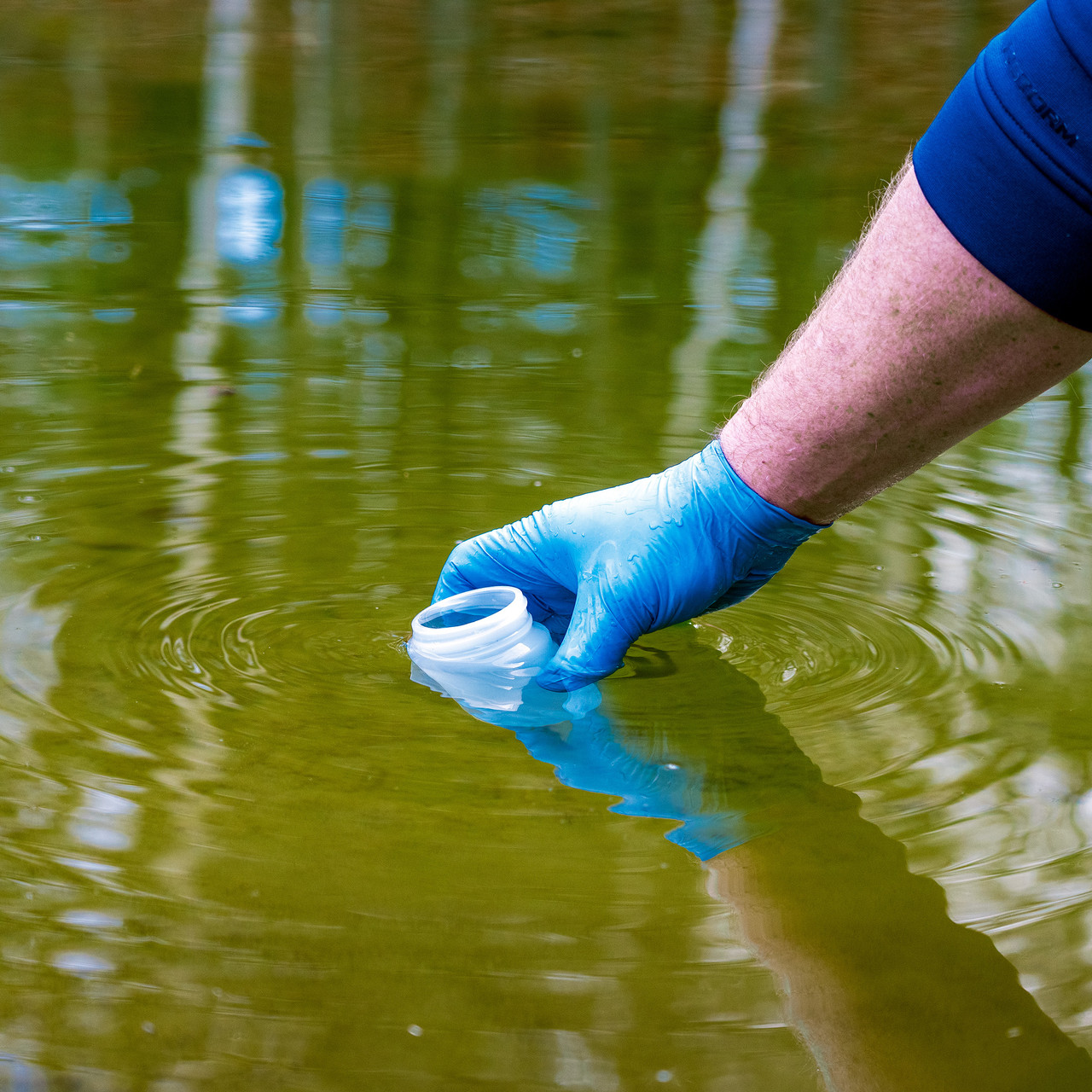 Water Quality Management